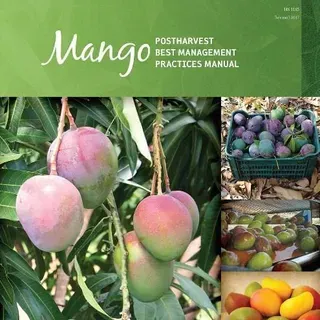 thumbnail for publication: Mango Postharvest Best Management Practices Manual